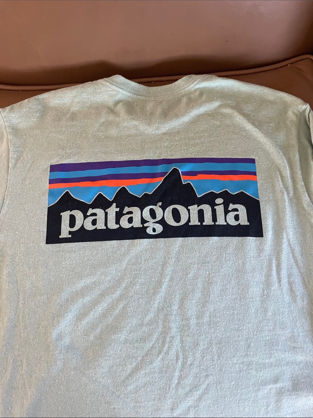 Patagonia Light Gray Tee with Navy, Purple, Blue and Orange Mountain Logo